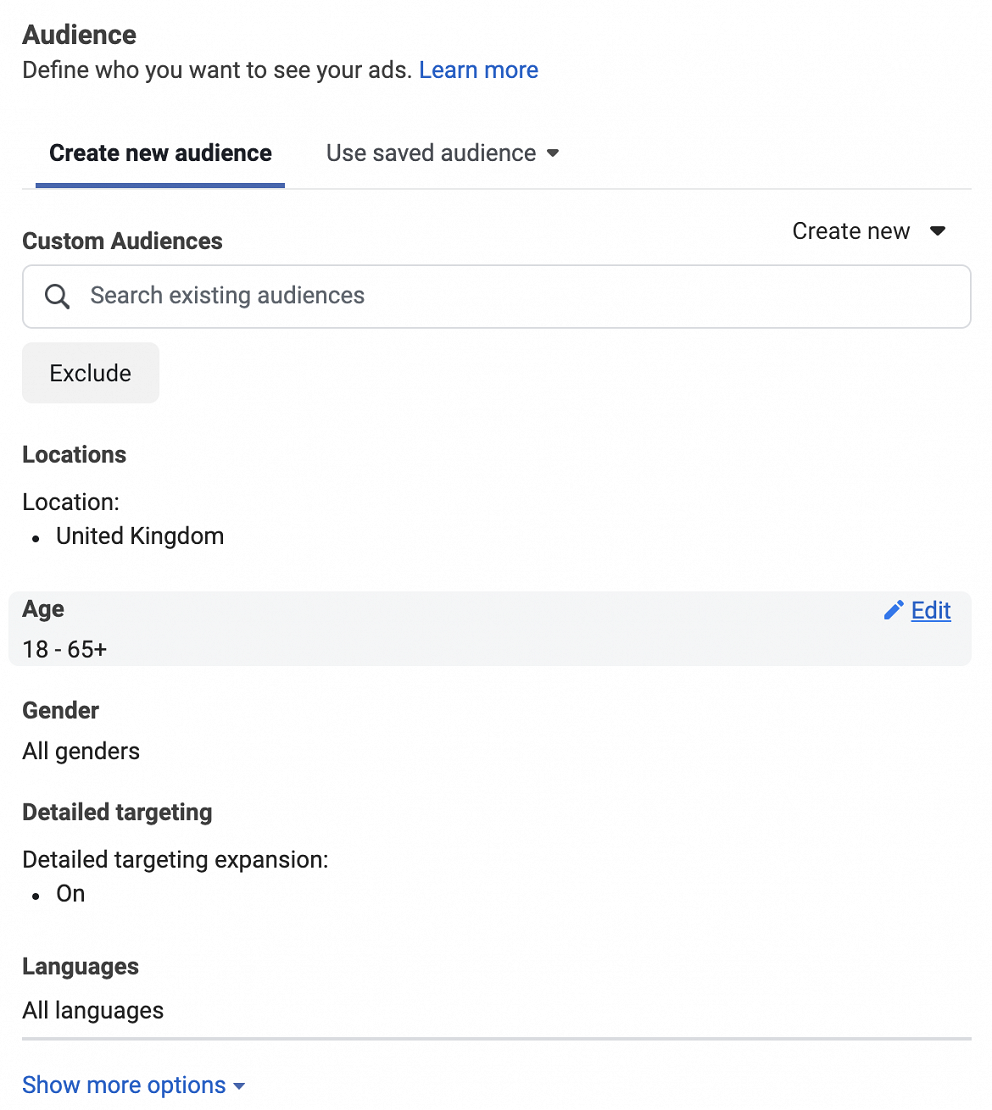 Facebook Ads Manager - Audience Selection